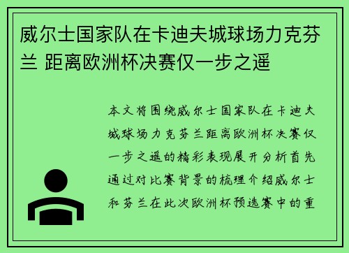 威尔士国家队在卡迪夫城球场力克芬兰 距离欧洲杯决赛仅一步之遥 威尔士国家队在卡迪夫城球场力克芬兰 距离欧洲杯决赛仅一步之遥